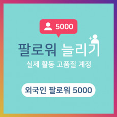 외국인 팔로워 5000명