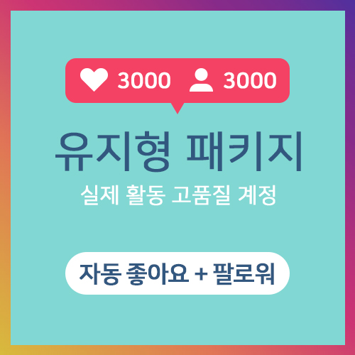 유지형 패키지