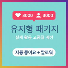 유지형 패키지